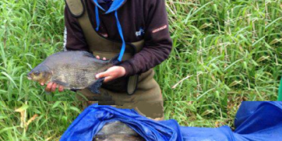 Tommy Pickering breaks River Erne Match record.png